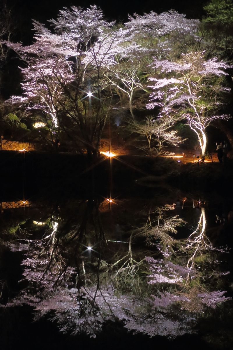 御船山楽園（佐賀県）