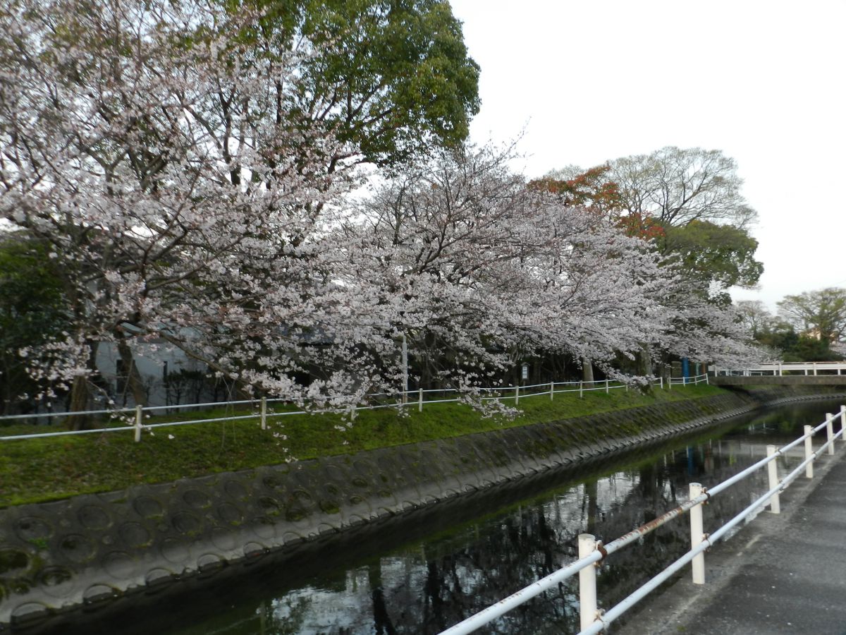 多布施川