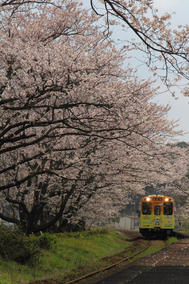 松浦鉄道