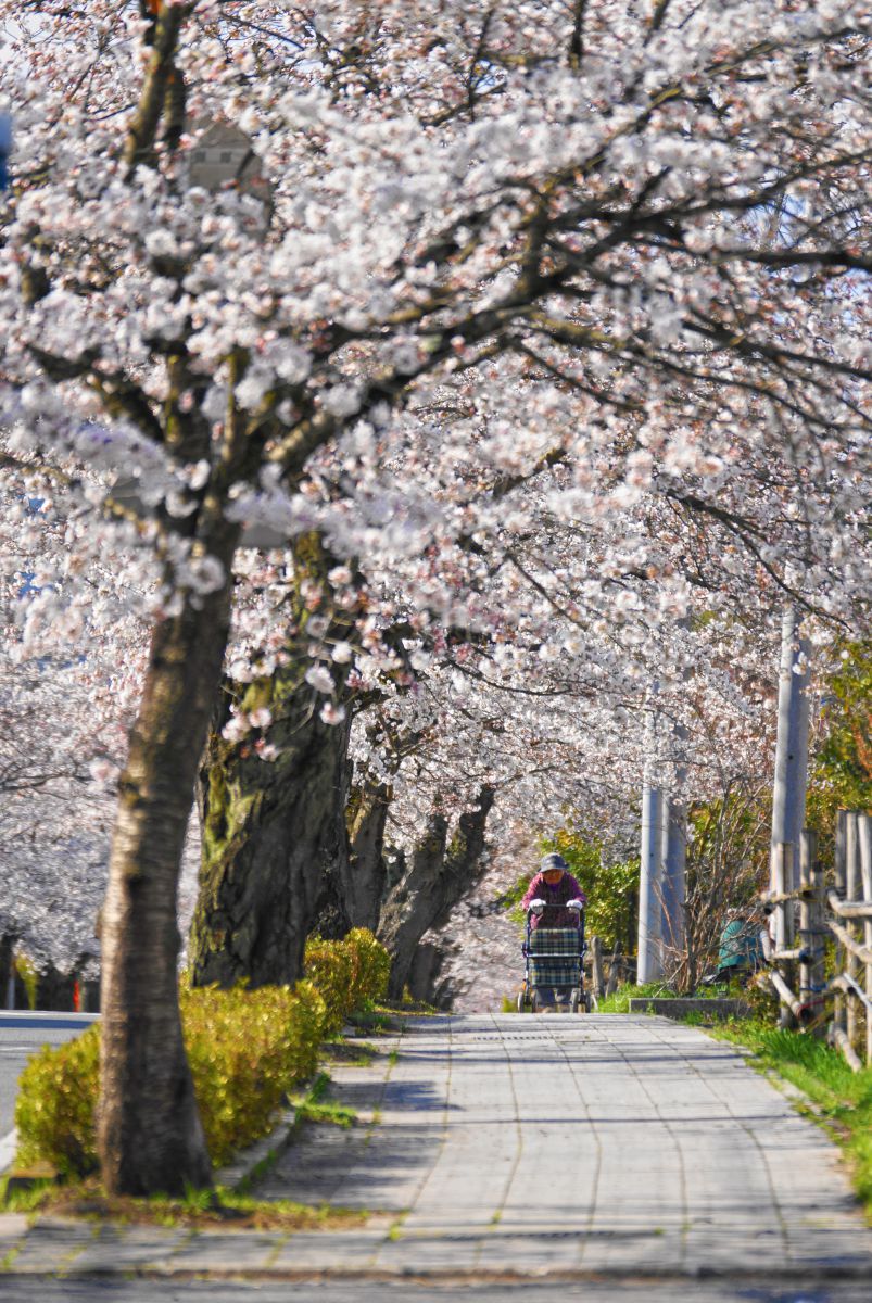 長瀞（埼玉県）