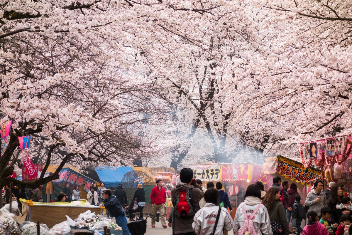 大宮公園（埼玉県）