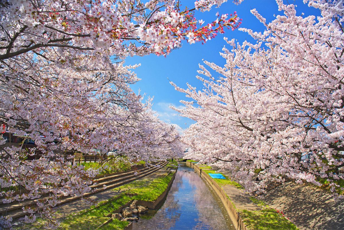 元荒川（埼玉県）