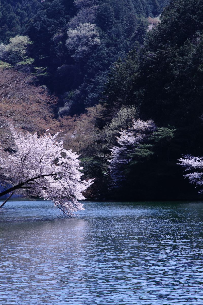 鎌北湖