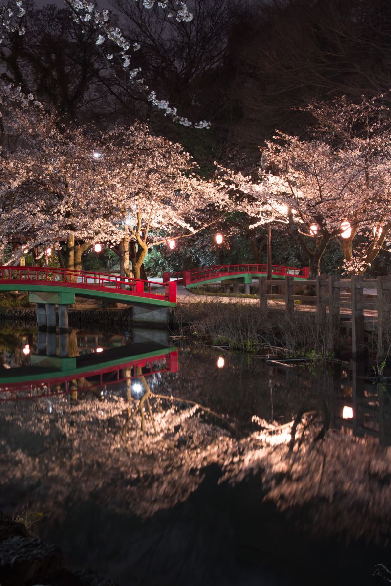 若泉公園（埼玉県）