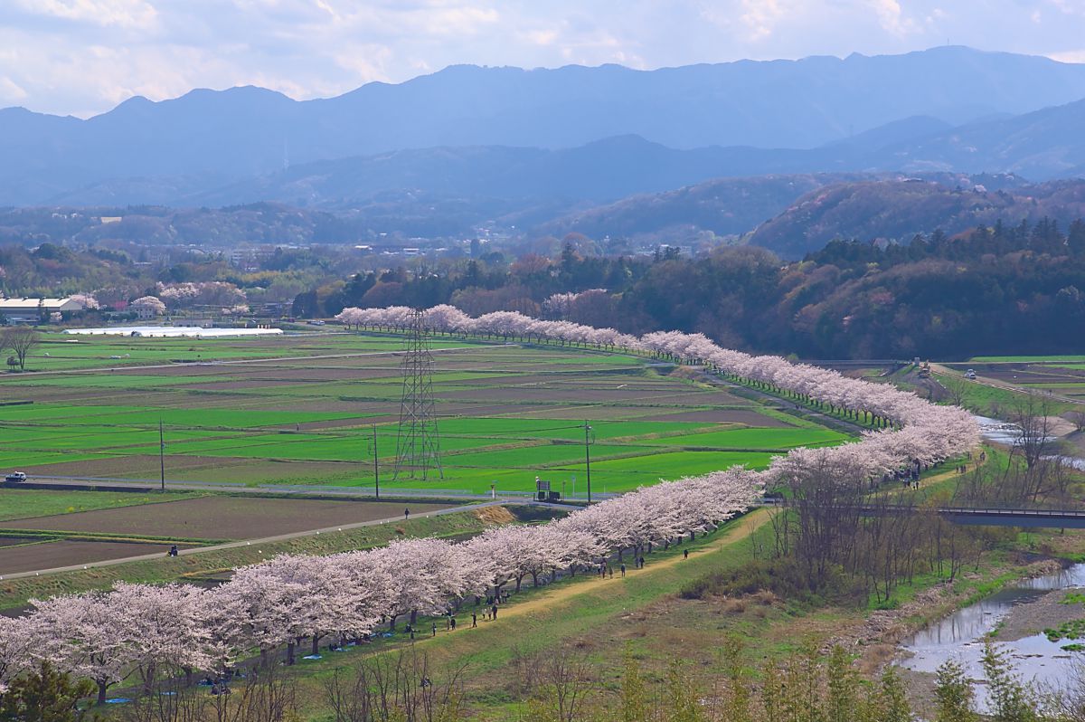 都幾川（埼玉県）