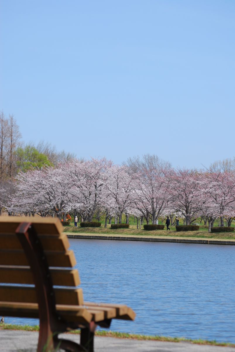 みさと公園（埼玉県）