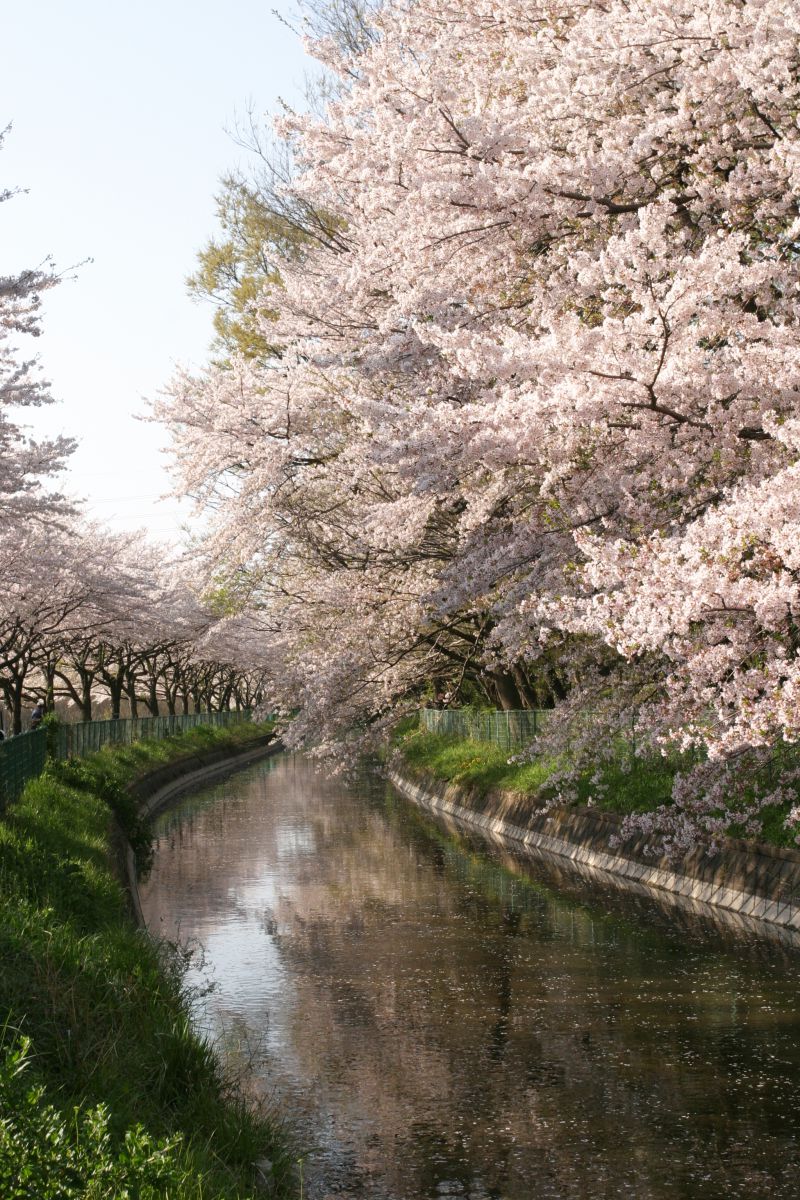 見沼自然公園（埼玉県）