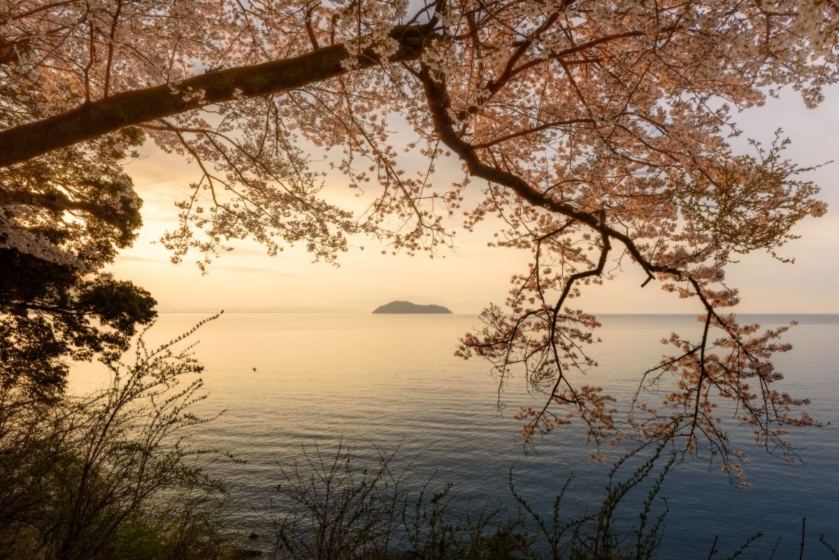 海津大崎（滋賀県）