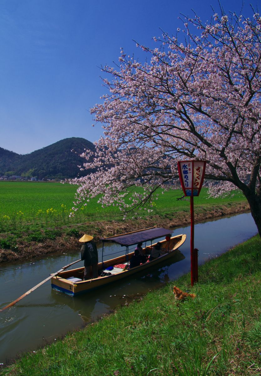 近江八幡（滋賀県）