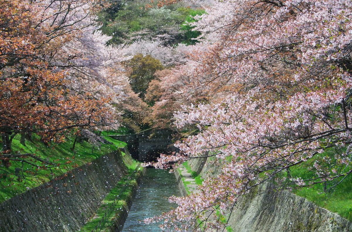 琵琶湖疏水（滋賀県）