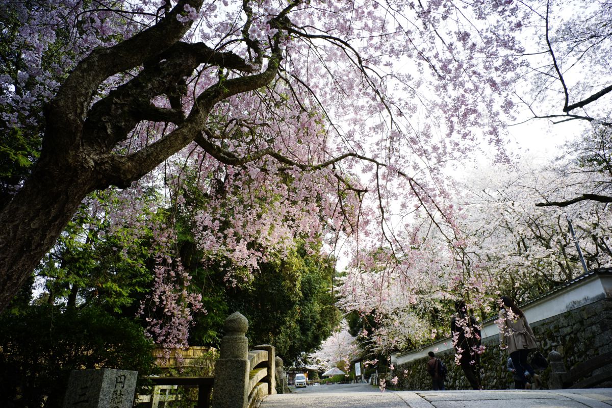 三井寺（園城寺）