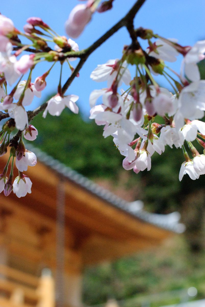 石山寺（滋賀県）