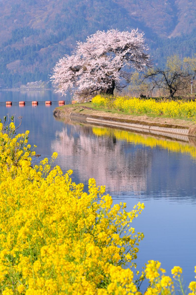 余呉湖（滋賀県）