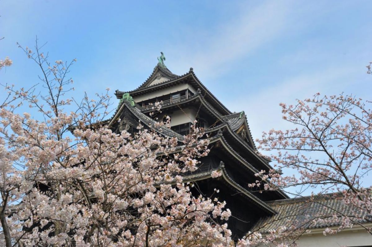 松江城（島根県）