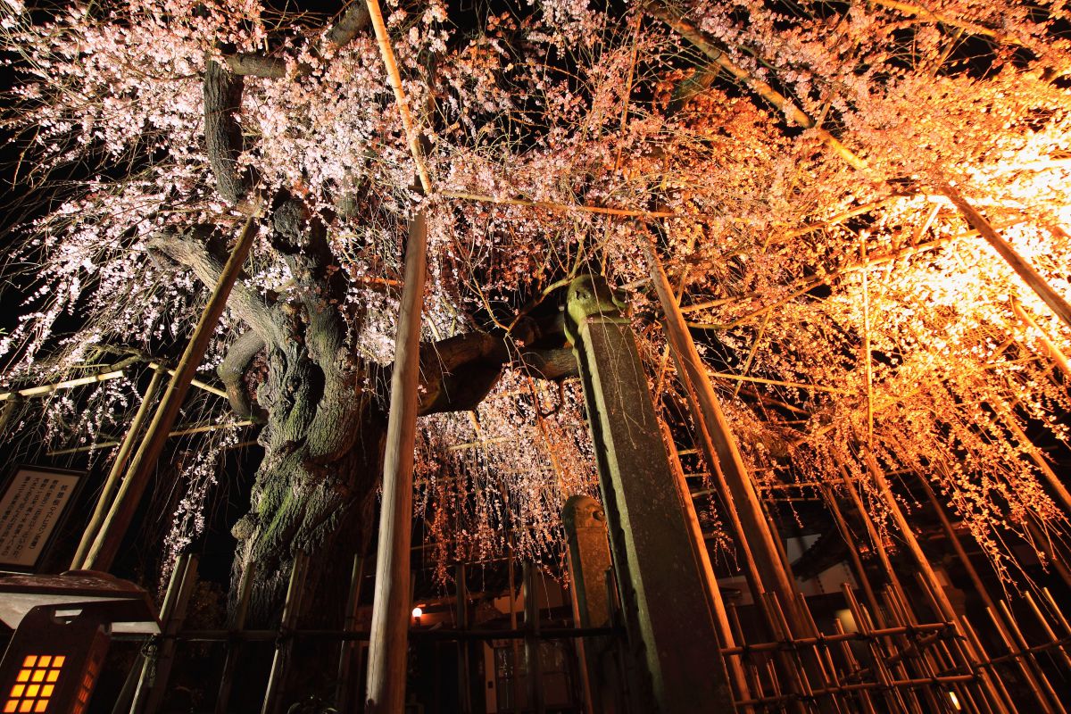 千手院（島根県）