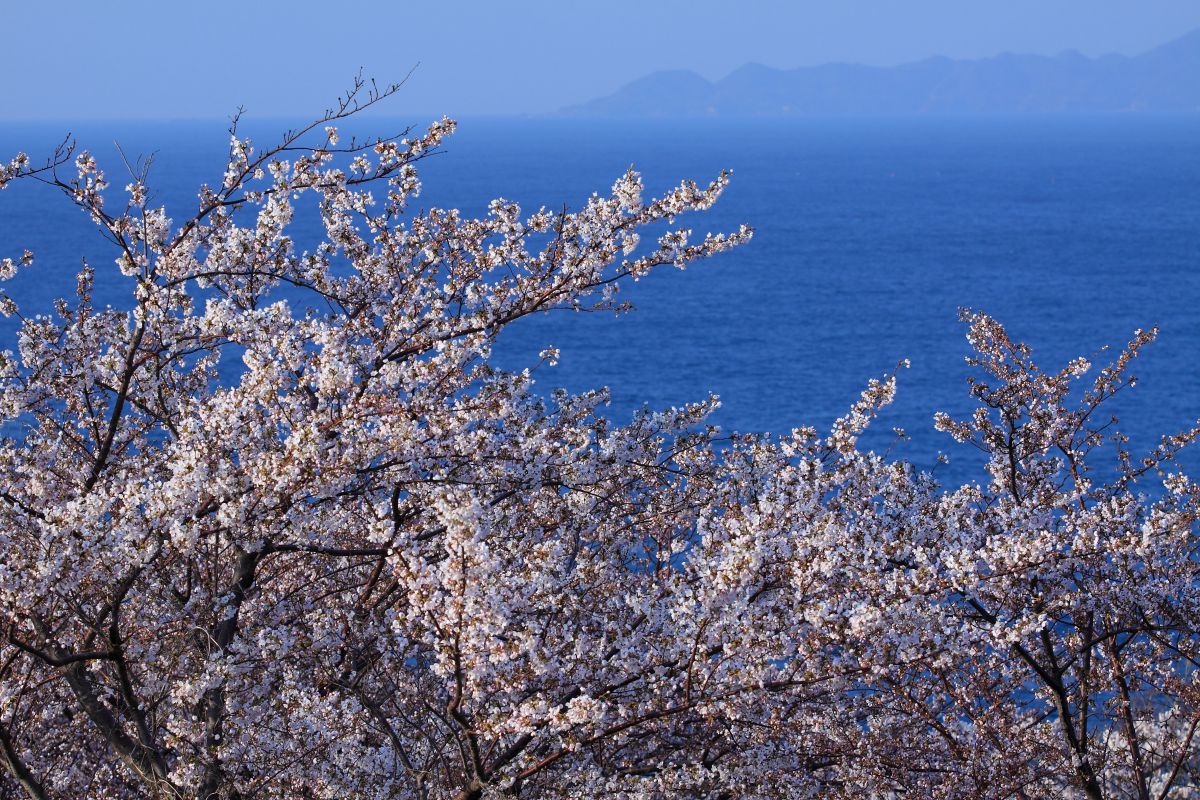 手引ケ丘公園（島根県）