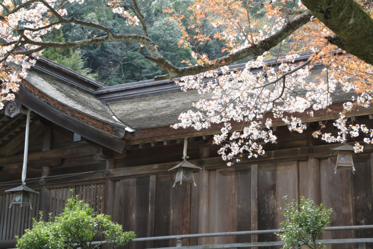 美保神社