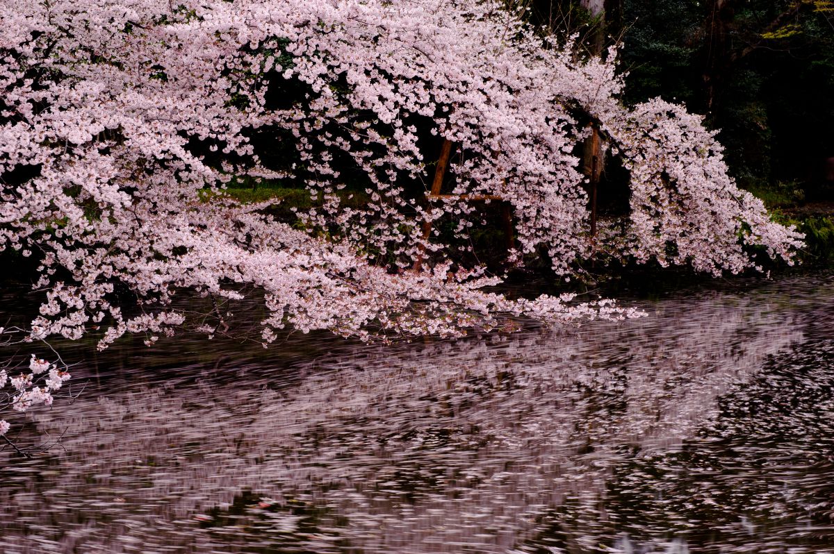 三嶋大社