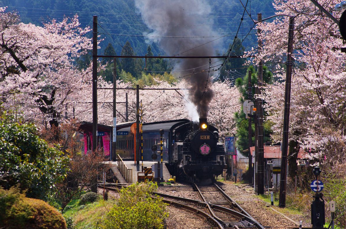 大井川鐵道（静岡県）