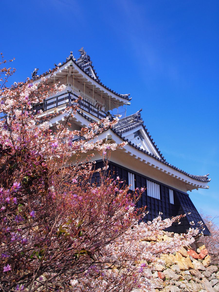 浜松城（静岡県）