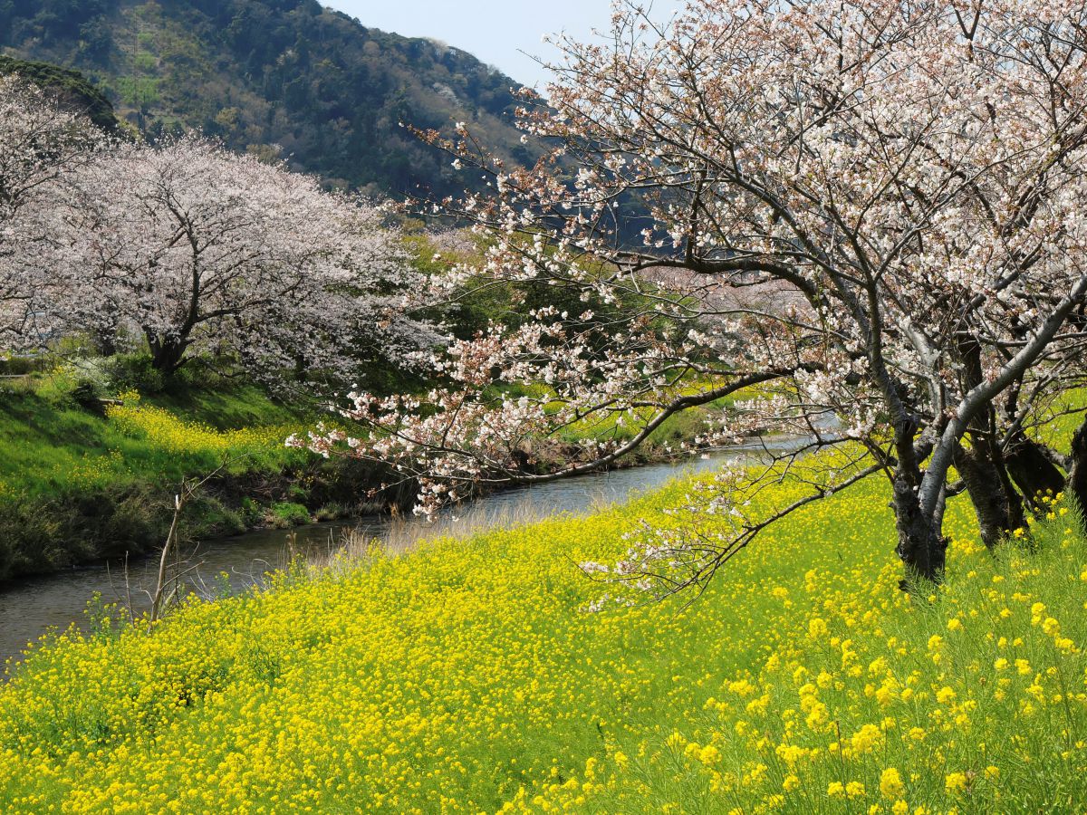 松崎町