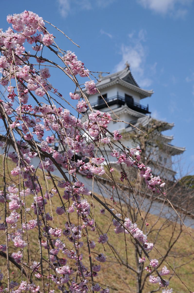 掛川城