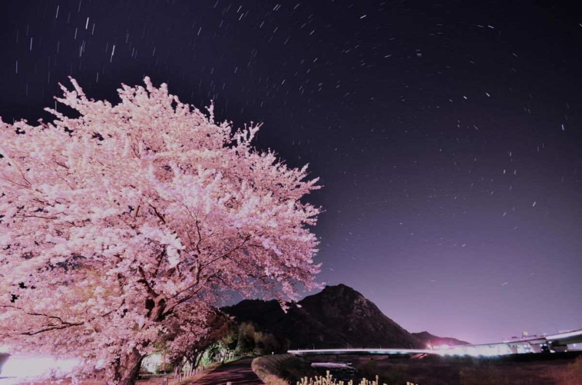 狩野川（静岡県）