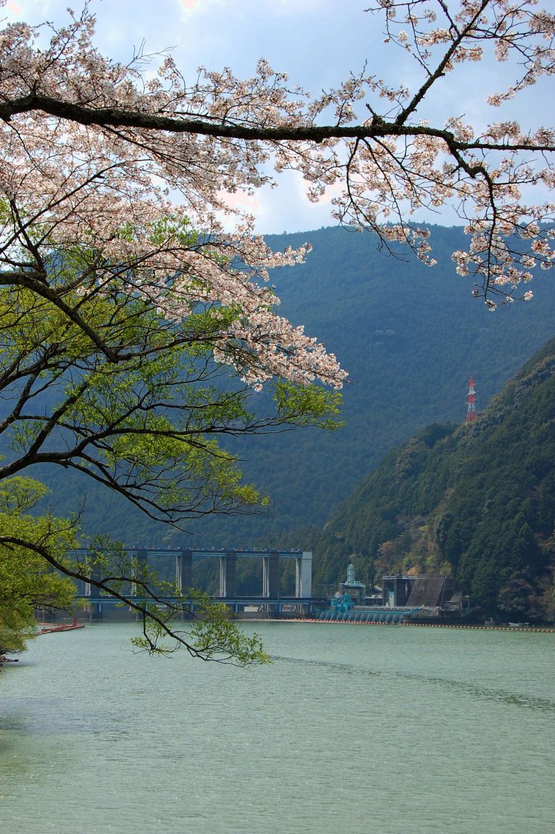 秋葉ダム（静岡県）