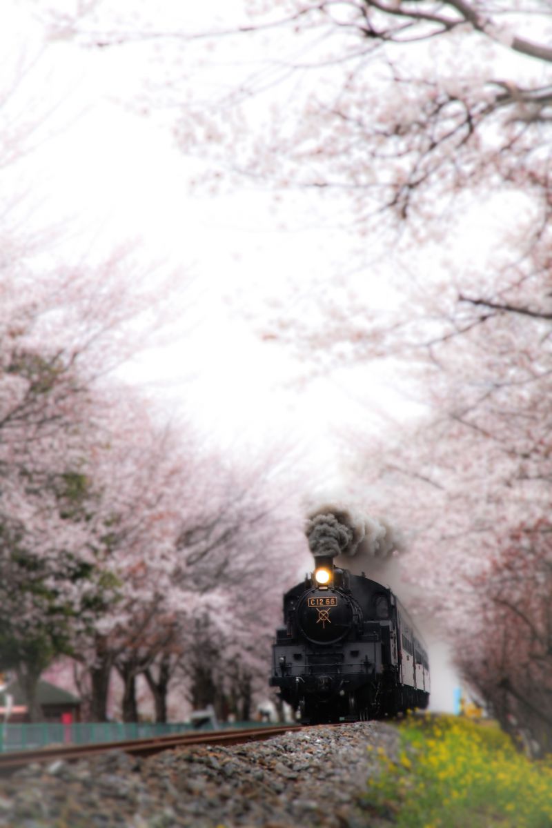 真岡鐵道（栃木県）