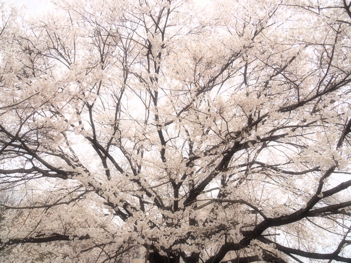 天平の丘公園