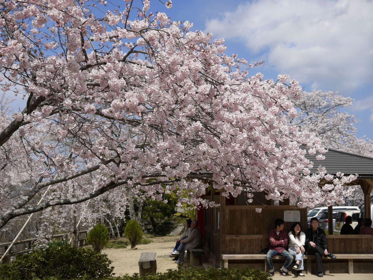 西部公園