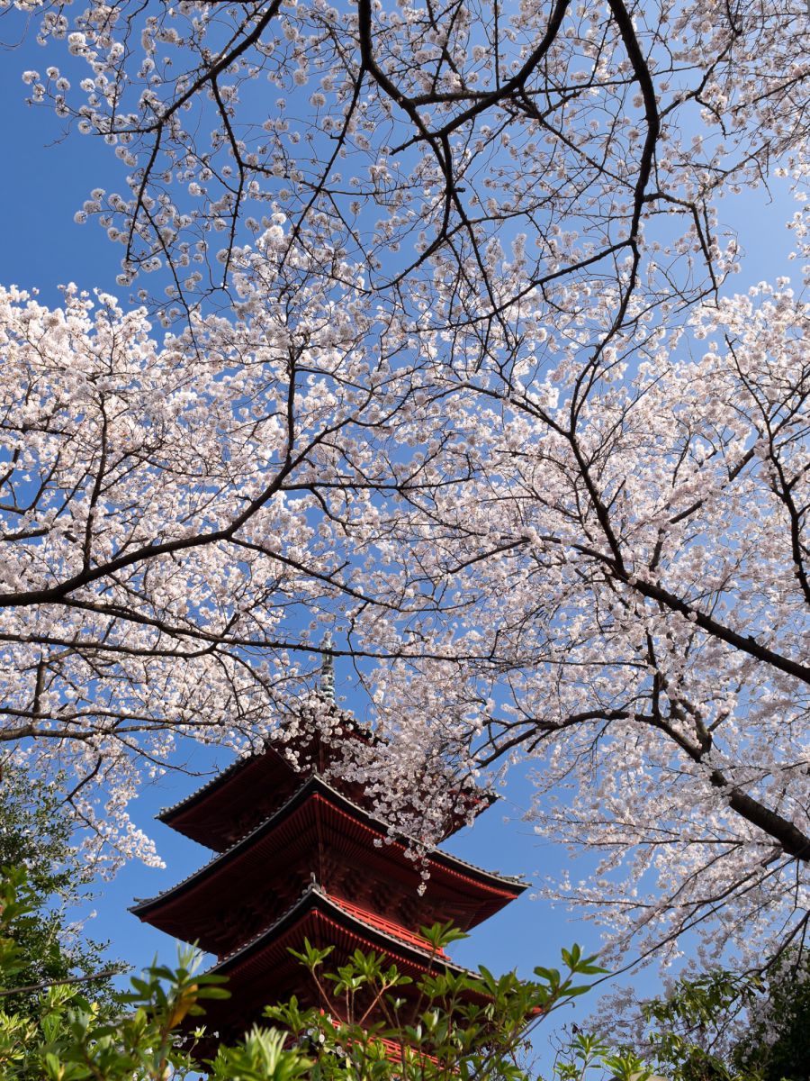 池上本門寺（東京都）