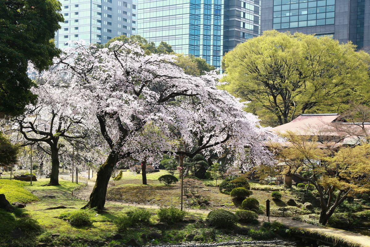 小石川後楽園（東京都）