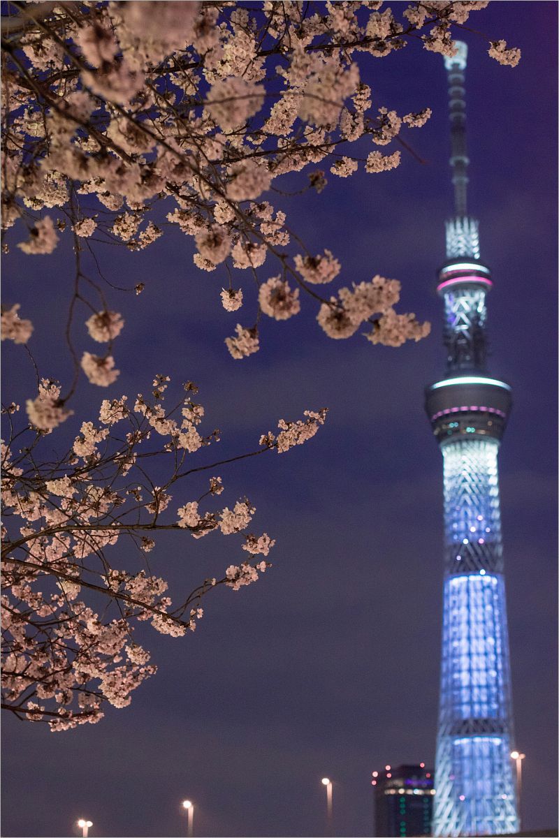 隅田公園（東京都）