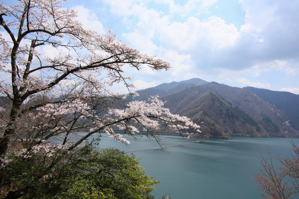 奥多摩湖（東京都）