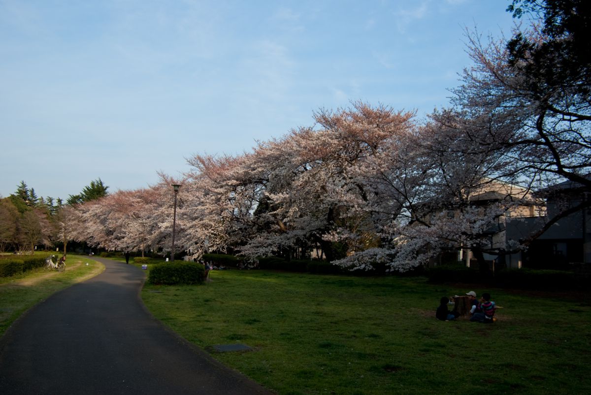 野川公園（東京都）