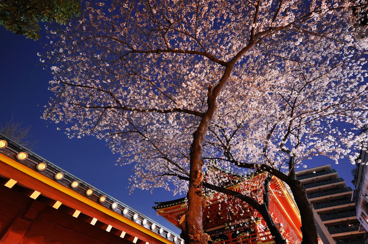 神田明神（東京都）