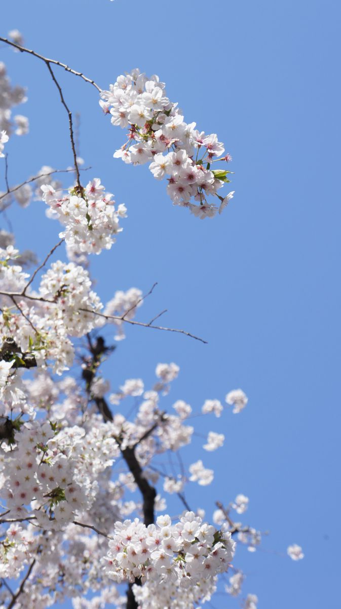 和田堀公園