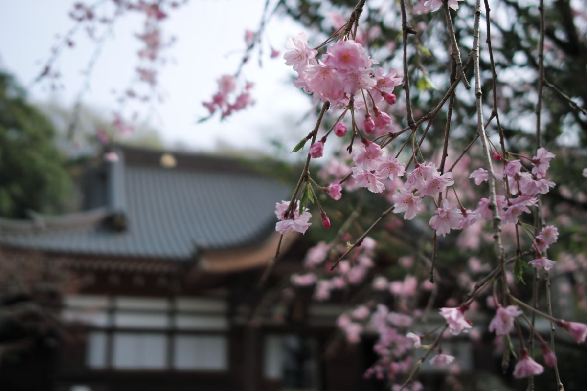 深大寺