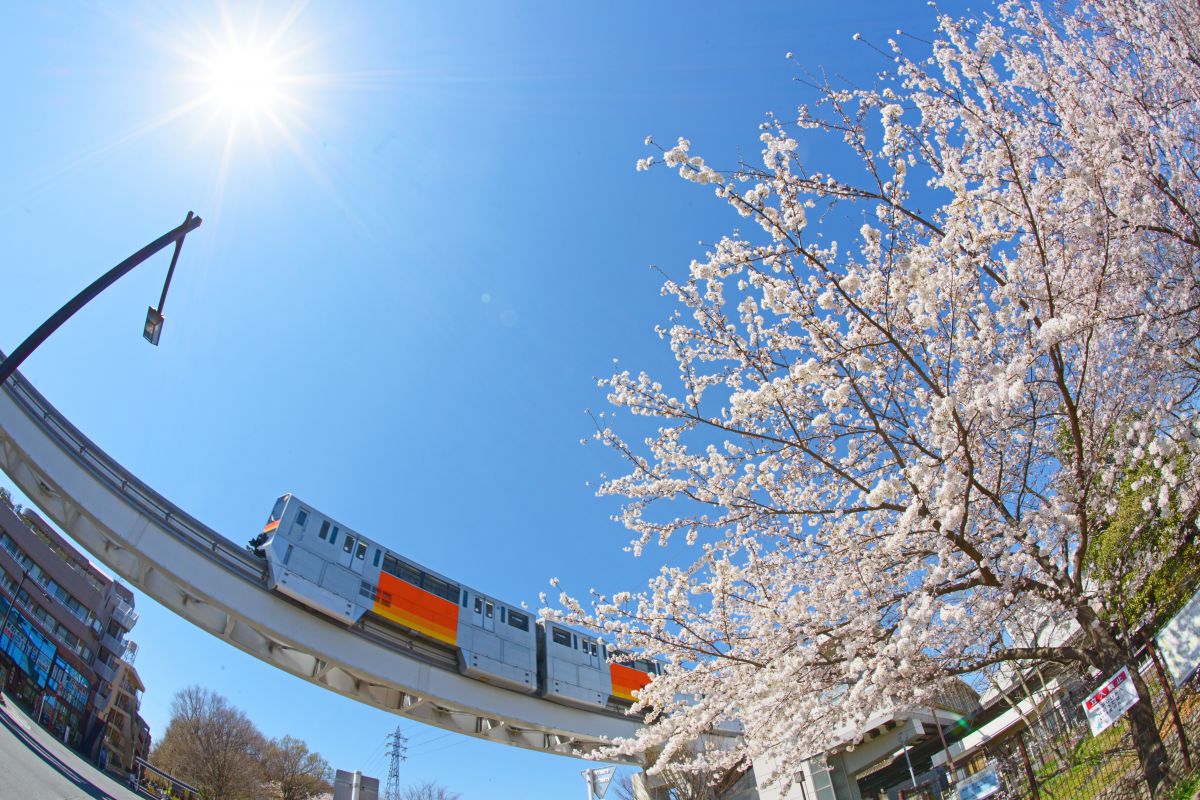 玉川上水（東京都）