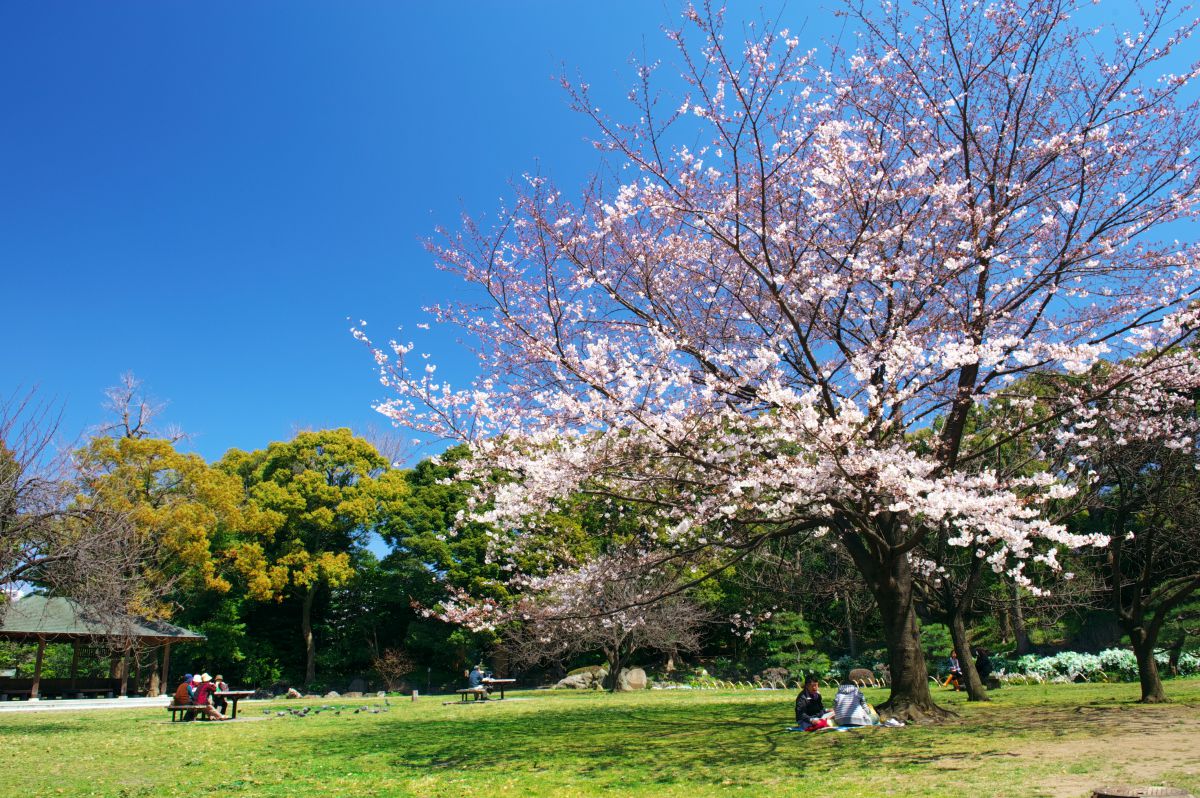 清澄庭園