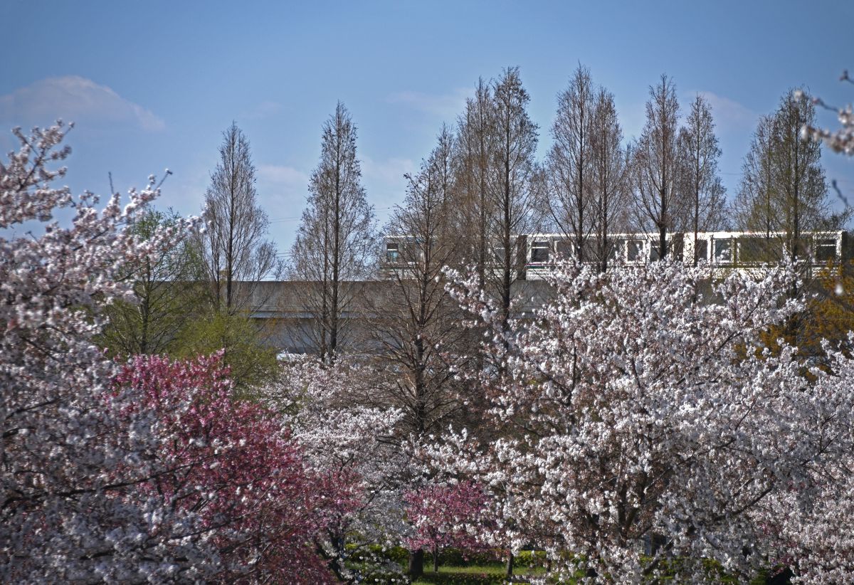 舎人公園（東京都）