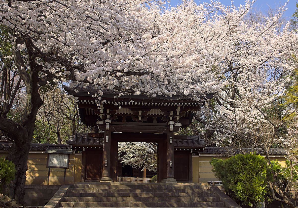 法明寺（東京都）