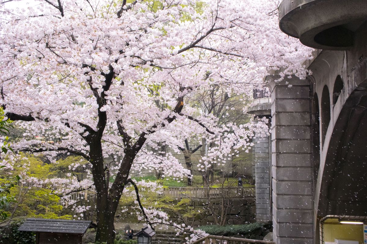 音無親水公園（東京都）