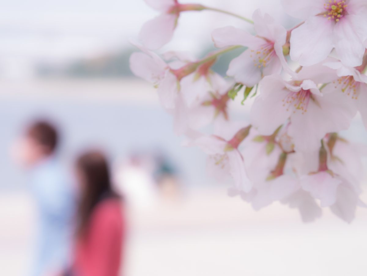 お台場海浜公園