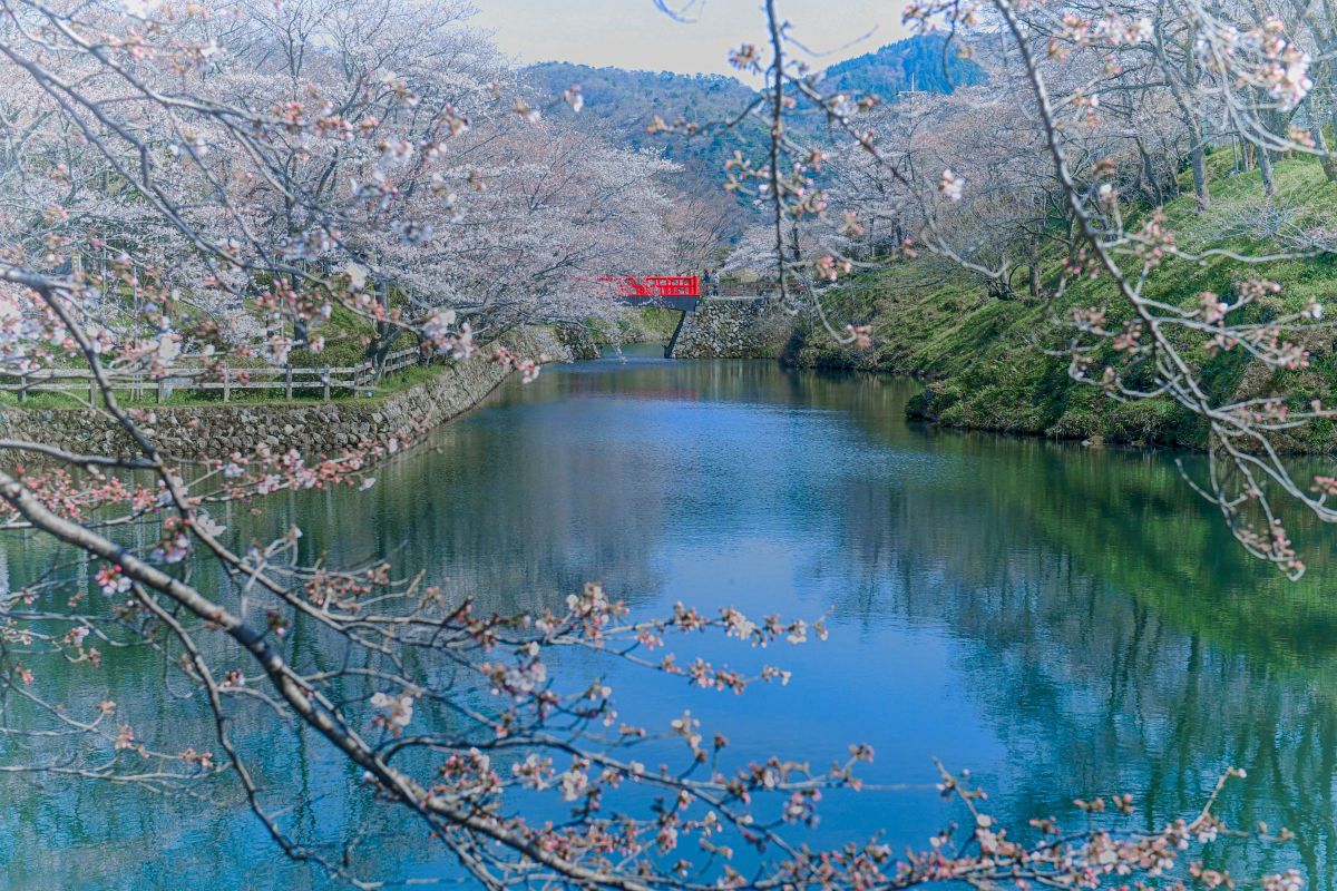 鹿野城跡（鳥取県）