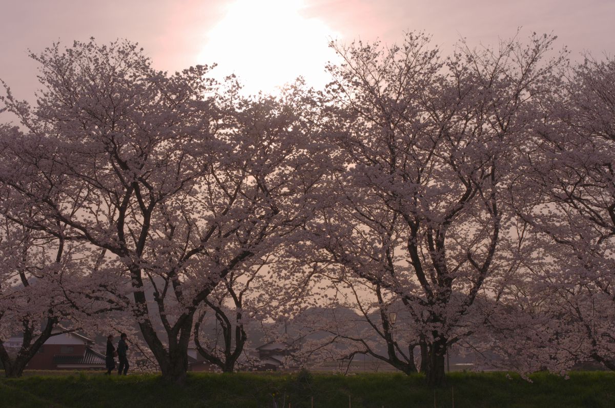 法勝寺川