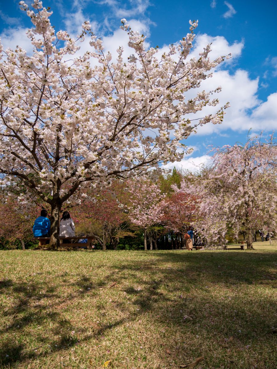 とっとり花回廊（鳥取県）