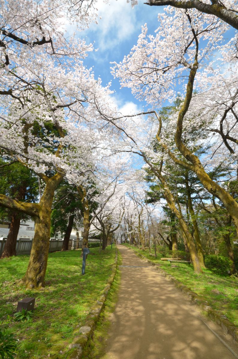 高岡古城公園