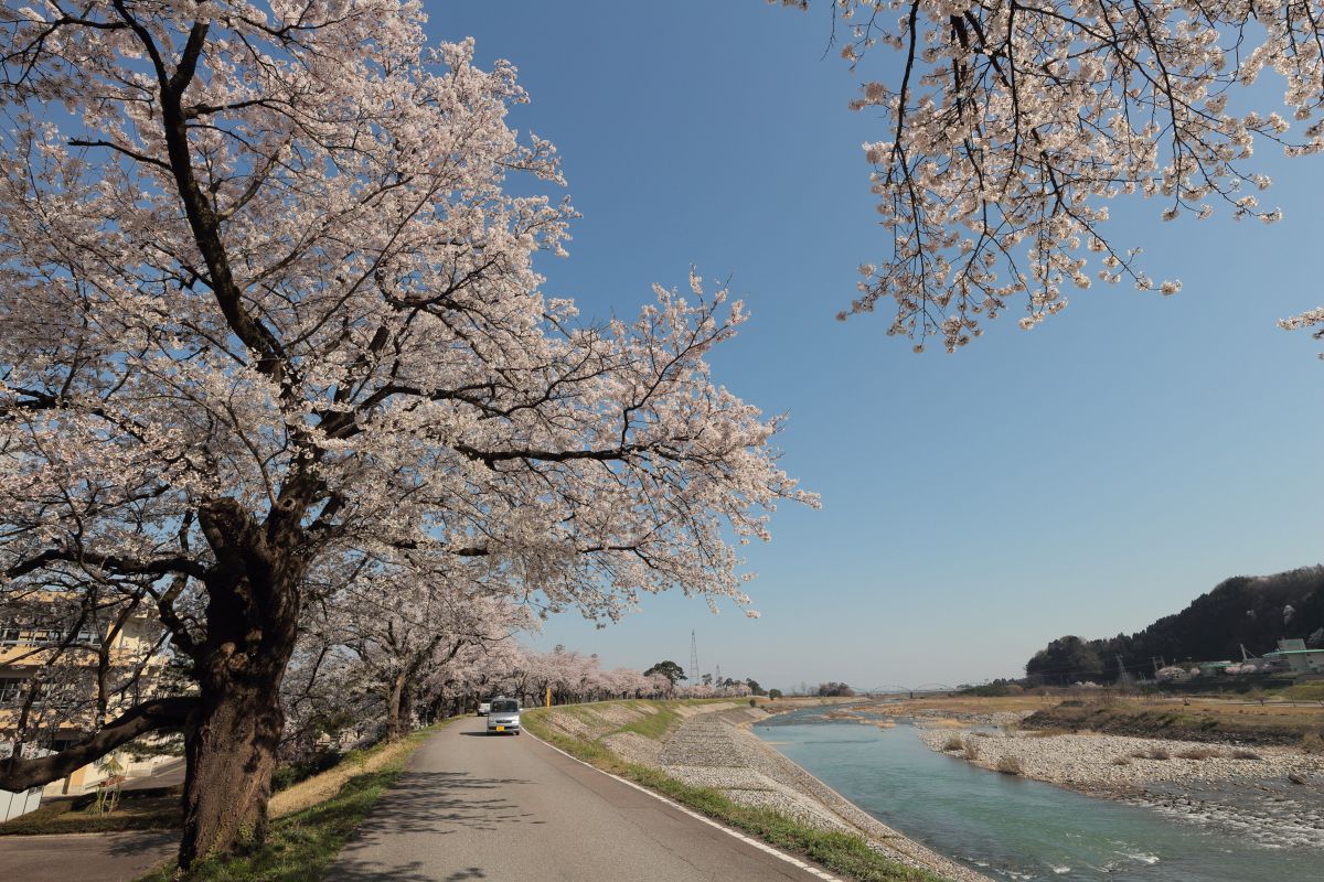 庄川峡